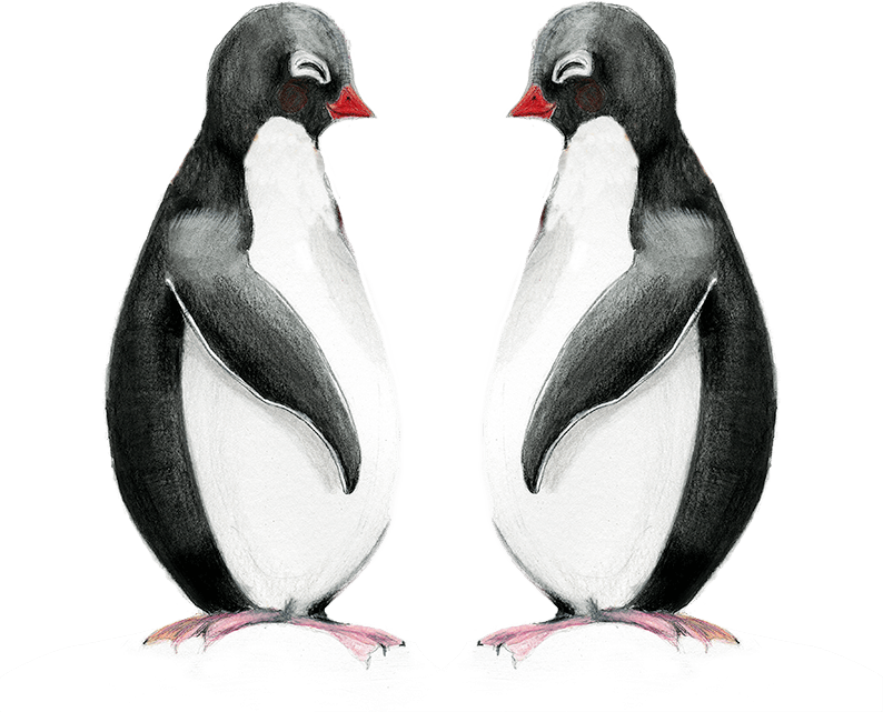 Penguins