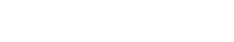 whimsical-header-text Whimsical and Wild