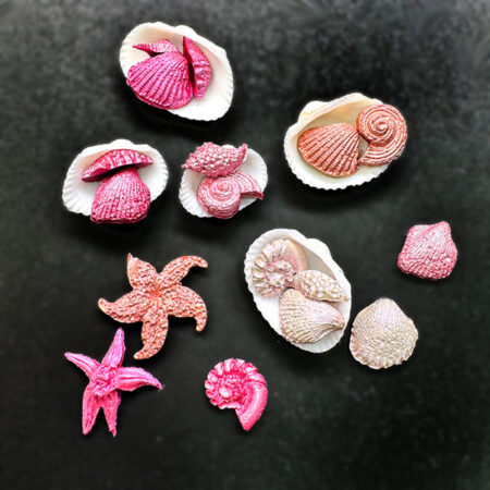 'Birth of Venus' Pigment Pebble | Add the goddess of Love to your inks!